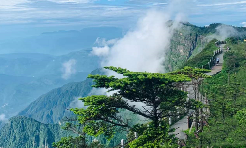 成都-乐山-峨眉山